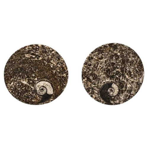Pair Ammonite Plates 4.5" Brown