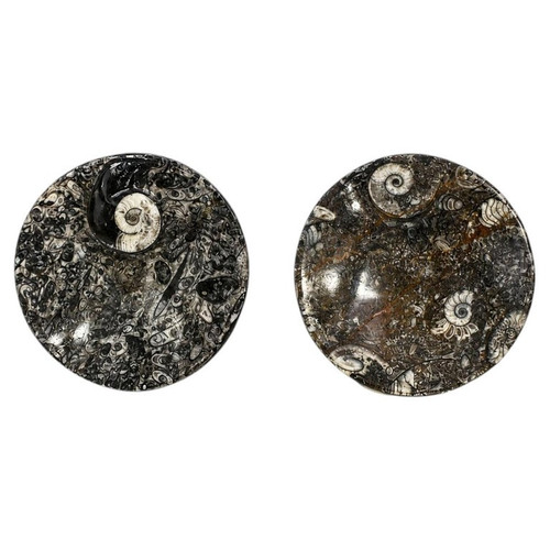 Pair Ammonite Plates 4.5" Black