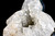 Rock Crystal Dragon's Head Statue