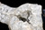 Rock Crystal Dragon's Head Statue