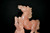 Rose Quartz Horse