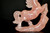 Rose Quartz Horse