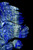 Lapis Eagle