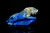Lapis Tiger Sculpture Paper Weight