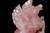 Rose Quartz Pegasus Horse