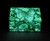 Malachite Box Butterfly
