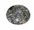 Pair Ammonite Plates 4.5" Black