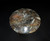 Pair Ammonite Plates 4.5" Black