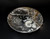 Pair Large Ammonite Plates 6.25"