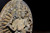 Bronze Multiple Headed and Armed Avalokitesvara Guan Yin 