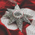 Limited Edition The Ohio State University Star Ornament