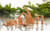 Limited Edition Mini 10-Piece Nativity Set (Plated Rose Gold)