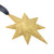 Gold Plated Centennial Star