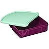 Maped Picnik Origins Lunch Box - Pink