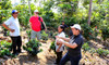 Peru Full City Roast Fair Trade Organic Coffee
