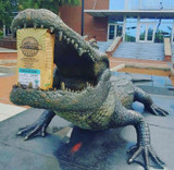 Where to find Sweetwater at University of Florida Where to find Sweetwater at University of Florida