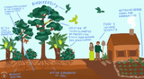 Join us: Plant Trees in Peru this Earth Day Join us: Plant Trees in Peru this Earth Day