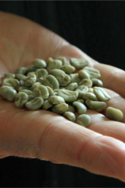 Colombia Fair Trade Organic Green Coffee Beans