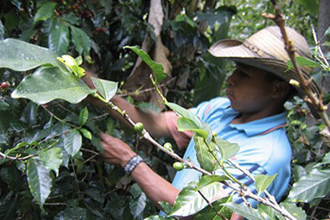 6 Ways We’re Changing The World Through Fair Trade