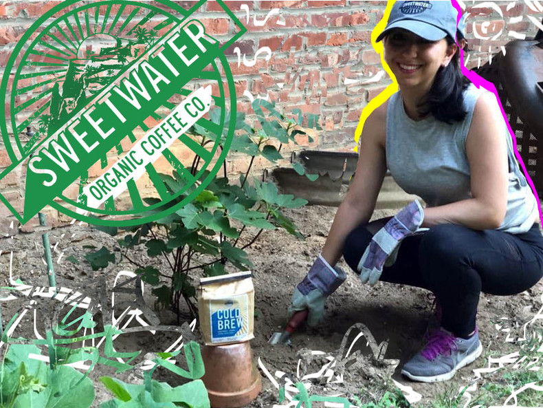 Composting With Cold Brew Coffee: Michelle Soufian 