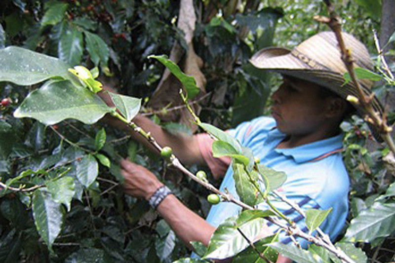 6 Ways We’re Changing The World Through Fair Trade