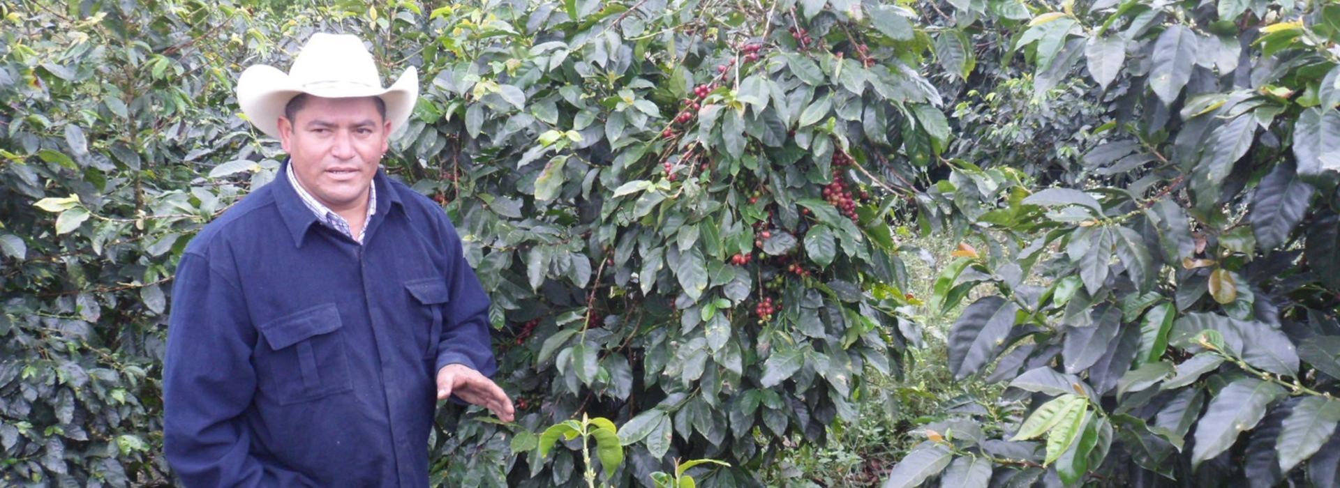 15% Off Fair Harvest Blend with code FAIR2025