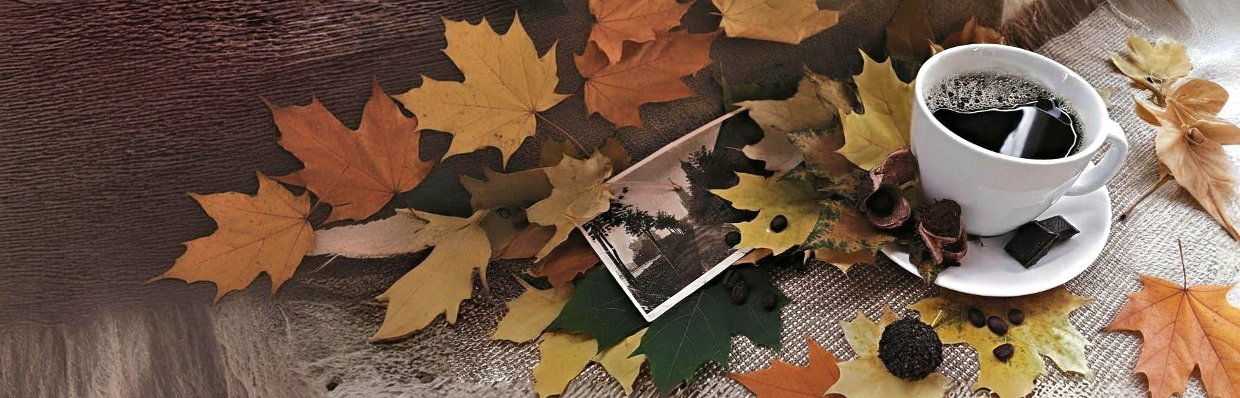 Give Thanks Fall Seasonal Blend - Limited Time