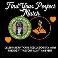 Find Your Perfect Match: Celebrate National Rescue Dog Day with Friends at The Fort Adoption Event