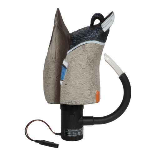 Banded Finisher Spitter Decoy