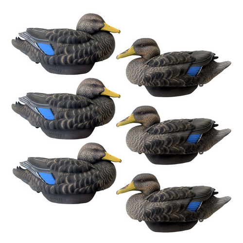 Heyday FlexFloat Black Duck 6-pack decoys