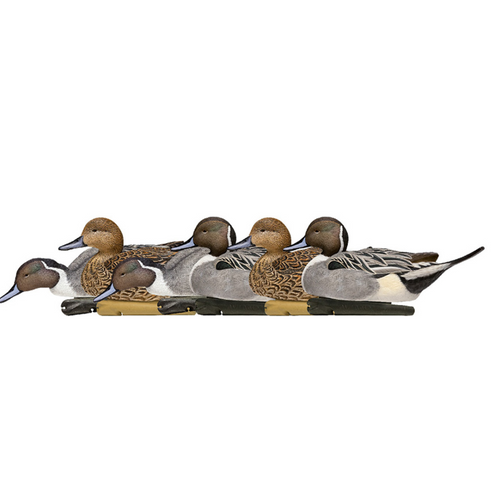 Avian-X Topflight Pintails 6-pack decoys