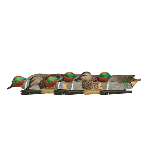 Avian-X Topflight Green-Winged Teal 6-pack decoys