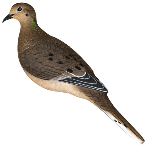 Avian X Full Body Dove 6 Pack Decoys