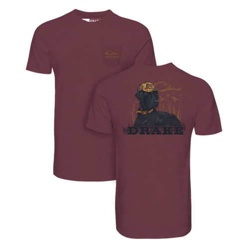 Drake Lab Lounging short sleeve graphic T-shirt Tawny Port