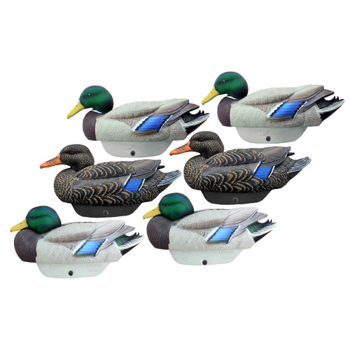 Lifetime Mallard Decoy 6 PK.  Four drakes in two positions and two hens shown.