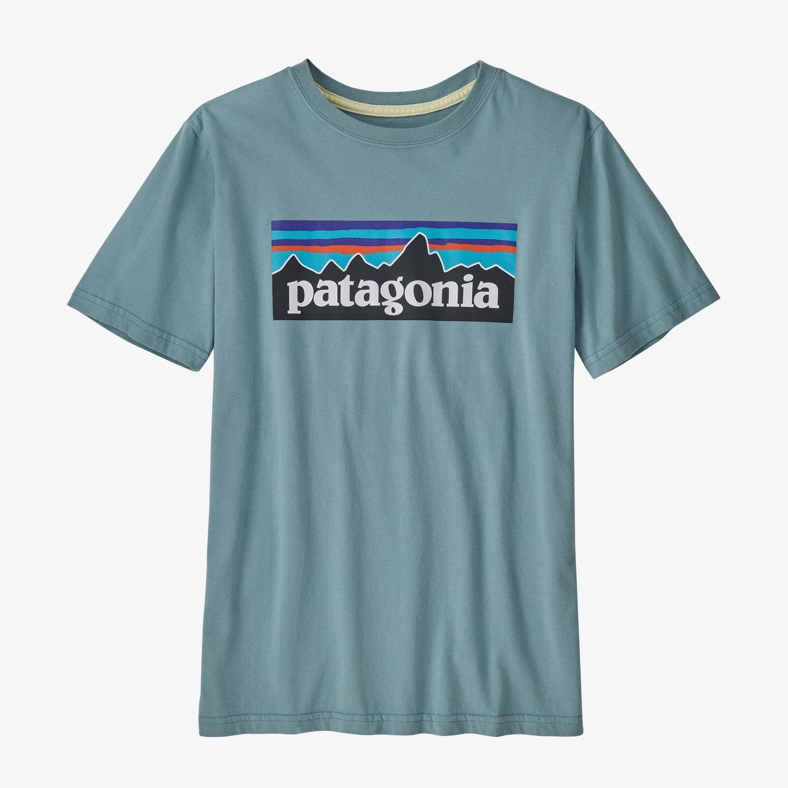 Patagonia Kids' Regenerative Organic Certified Cotton P-6 Logo T