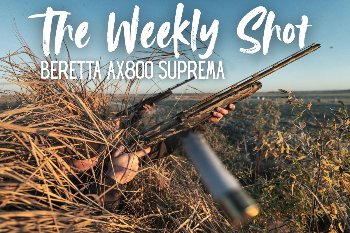 The Weekly Shot: Beretta AX800 Suprema - Fort Thompson Sporting Goods