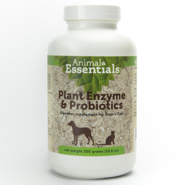 Digestive Enzymes