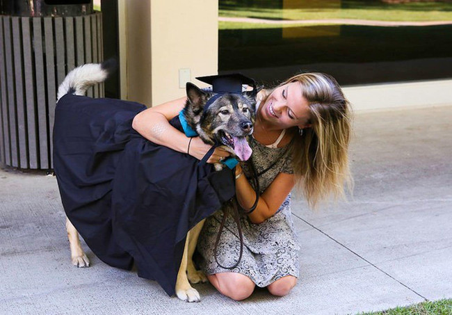 Animal house? More colleges are saying yes to dogs and cats in dorms.