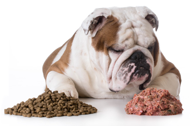Legumes and Canine Dilated Cardiomyopathy: A look at the Bigger Picture