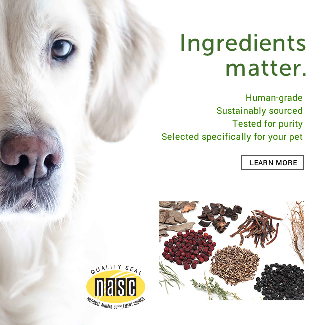 Natural Pet Supplements, Natural Supplements For Dogs | Cats