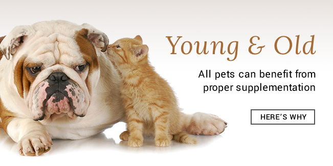 Natural Pet Supplements, Natural Supplements For Dogs | Cats