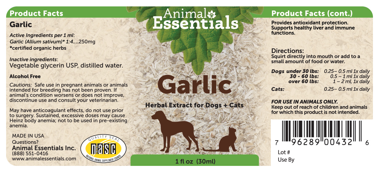 are garlic tablets good for dogs