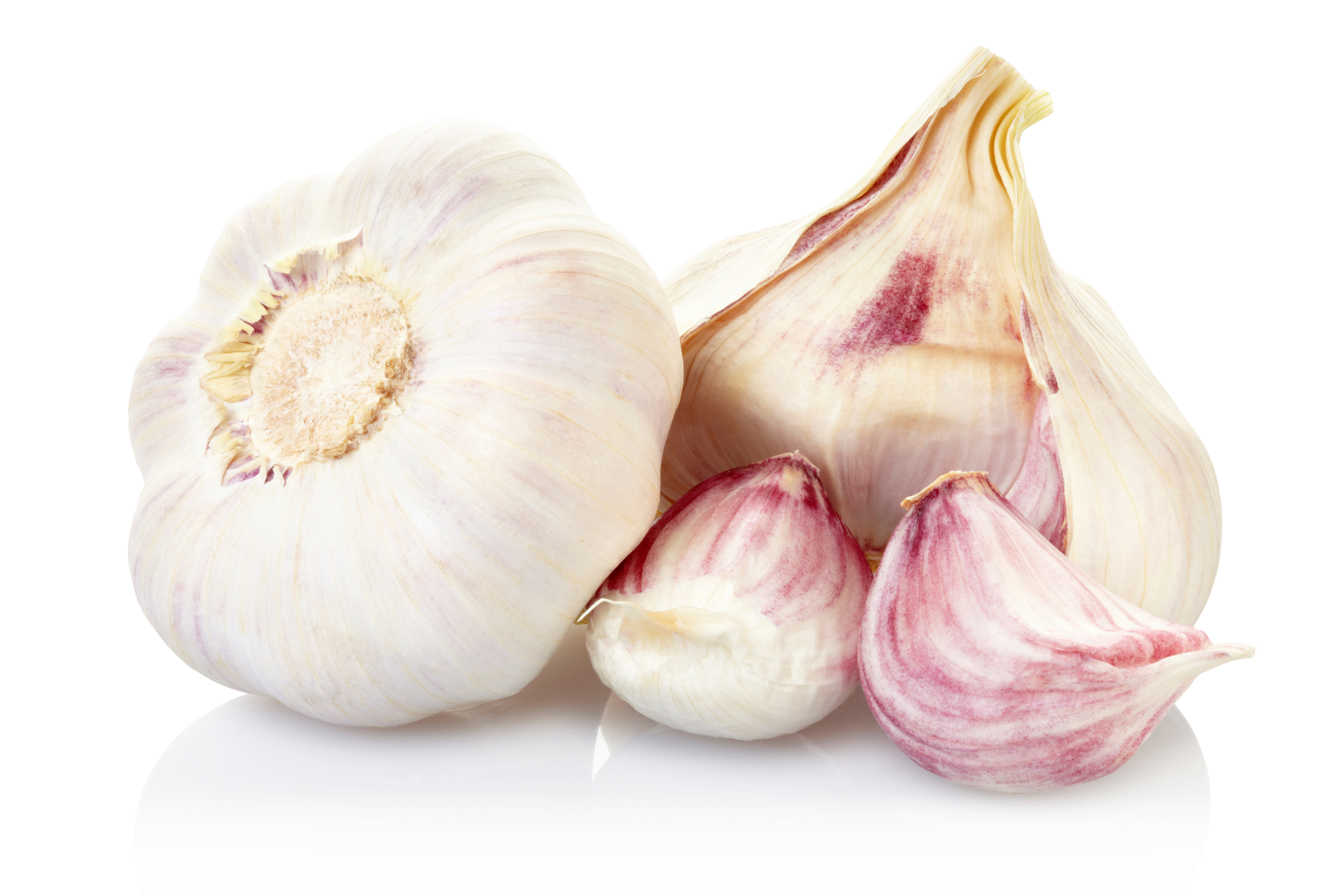 garlic-1a.jpg