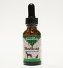 Skullcap tincture for dogs and cats by Animal Essentials