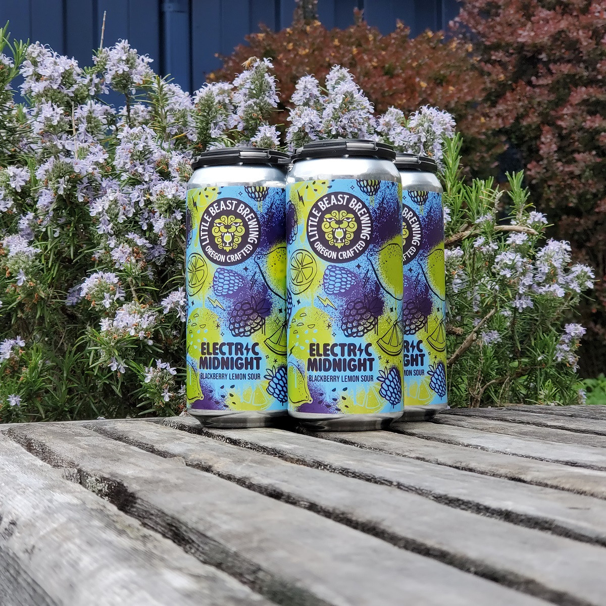 Riddle bait distillery Vivienne リドルベイツ LITTLE BEAST ELECTRIC MIDNIGHT BLACKBERRY LEMON SOUR ALE | MARINA