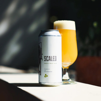 TRILLIUM BREWING SCALED IPA 16oz