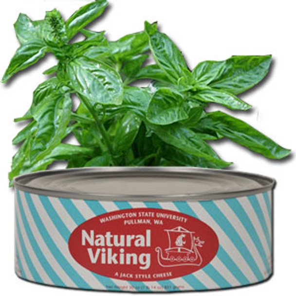 WSU NATURAL VIKING SWEET BASIL CHEESE 