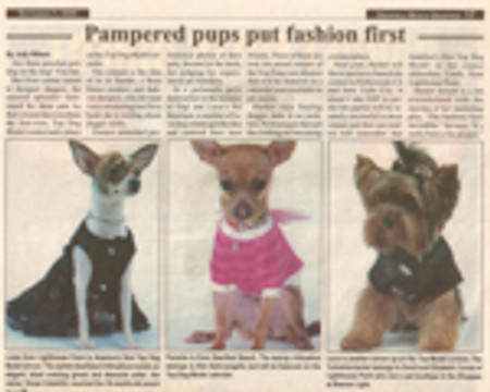 2005 Press - 7