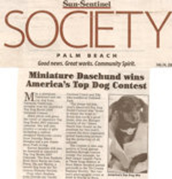 2006 Press - 8